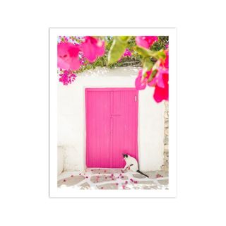 A picture of a pink door in Greece, with pink flowers and a cat