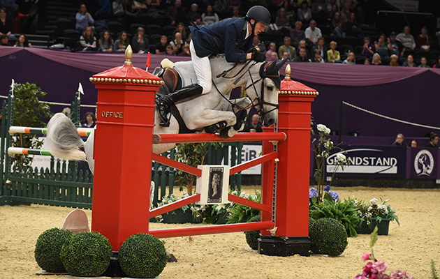 HOYS 2015