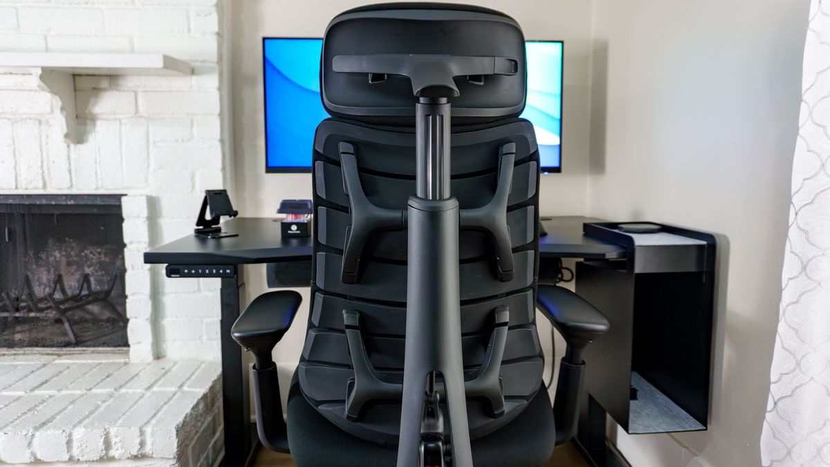 The LiberNovo Omni SE seen from the back showing off its unique backrest
