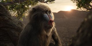 Rafiki in The Lion King