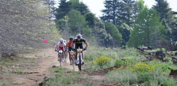 A group of racers