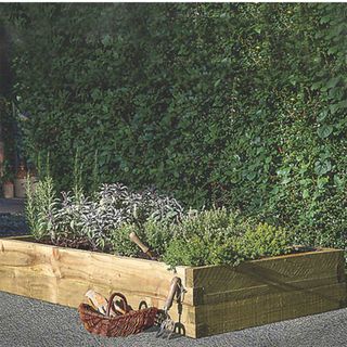 Timber raised bed planter in garden to support succession planting