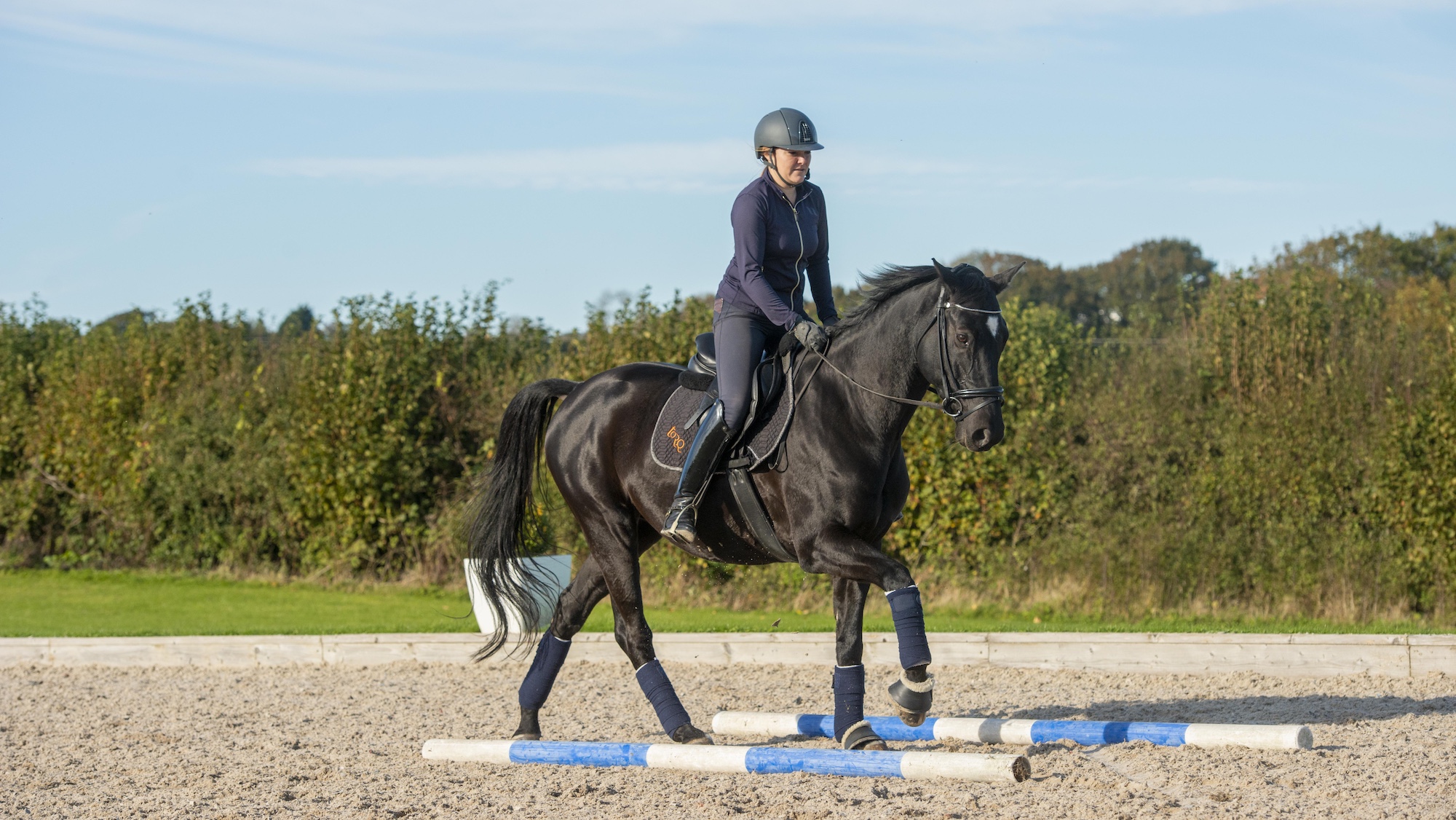 Practising riding through parallel poles in the ground, training for how to stop horse running out at skinnies