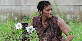 Daryl Dixon with the Cherokee rose in The Walking Dead.