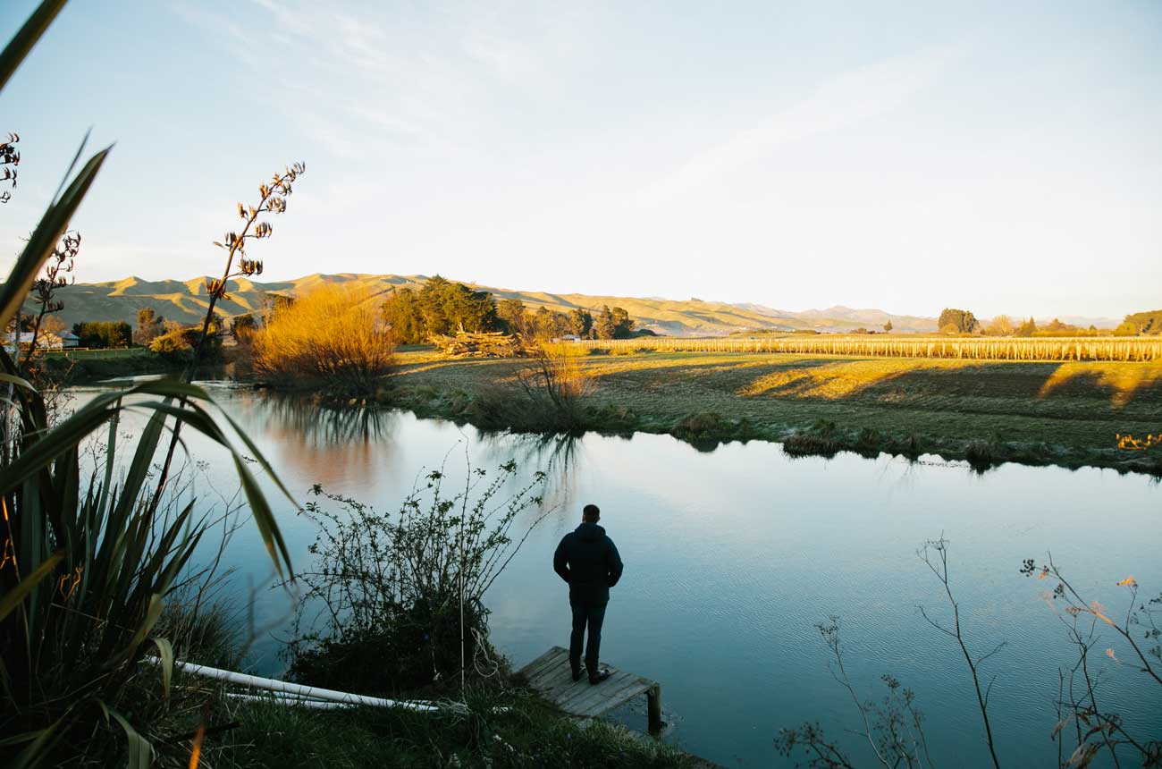 Glover Family vineyards by the Opaoa River at Dillons Point
