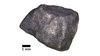 Optical micrograph of the complete Strawberry Lake meteorite (Hamburg ME 6108) before cutting. 