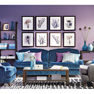 teaming lilac wall with deep blue velvet seating