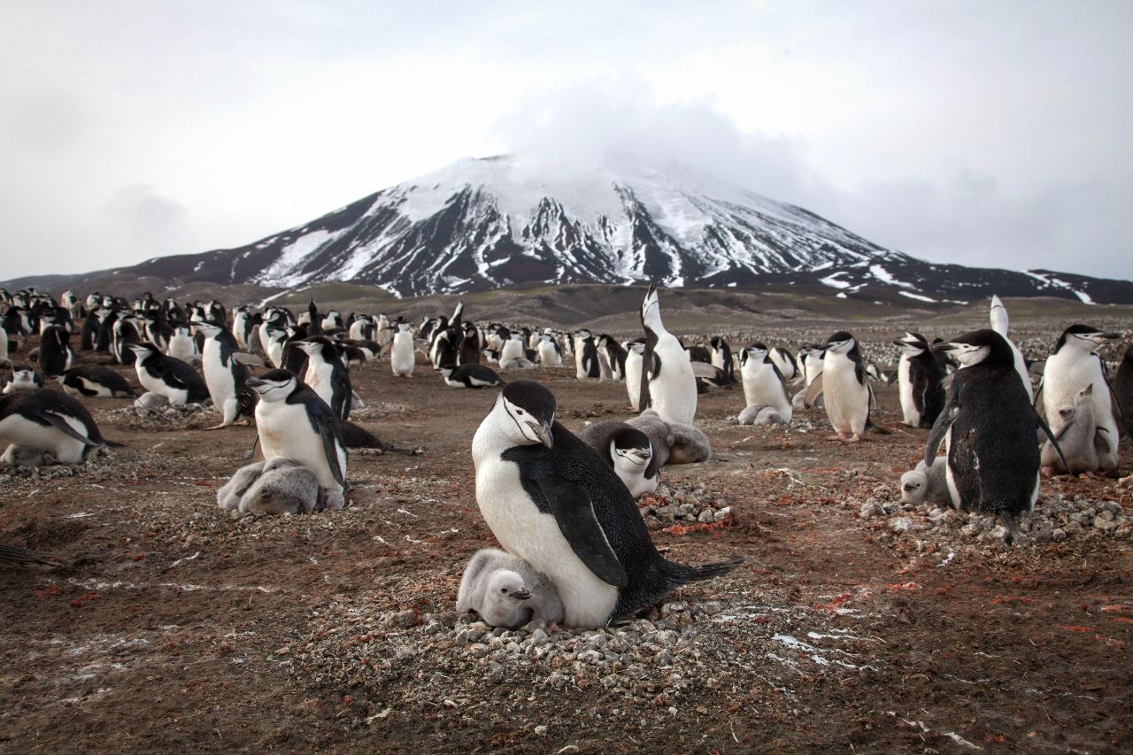 Planet Earth II premieres Feb. 18, 2017.