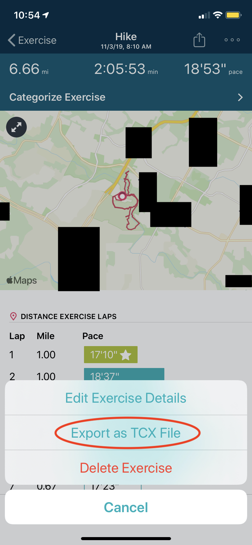 Fitbit app GPS export 4