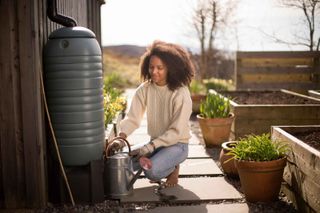 woman filling up watering can from water butt