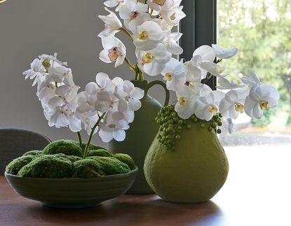 A vase of white orchids