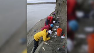 Researchers work on a dig shelf at the Prince Creek Formation in northern Alaska.