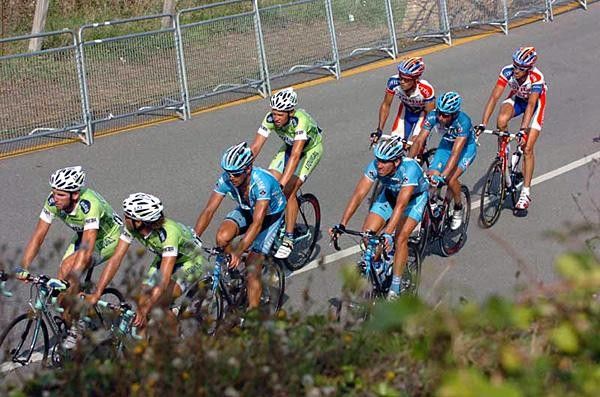 Some chit-chat in the bunch