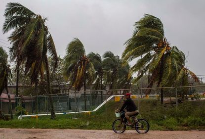 Trees blow in the wind as Hurricane Iota moves toward Nicaragua.