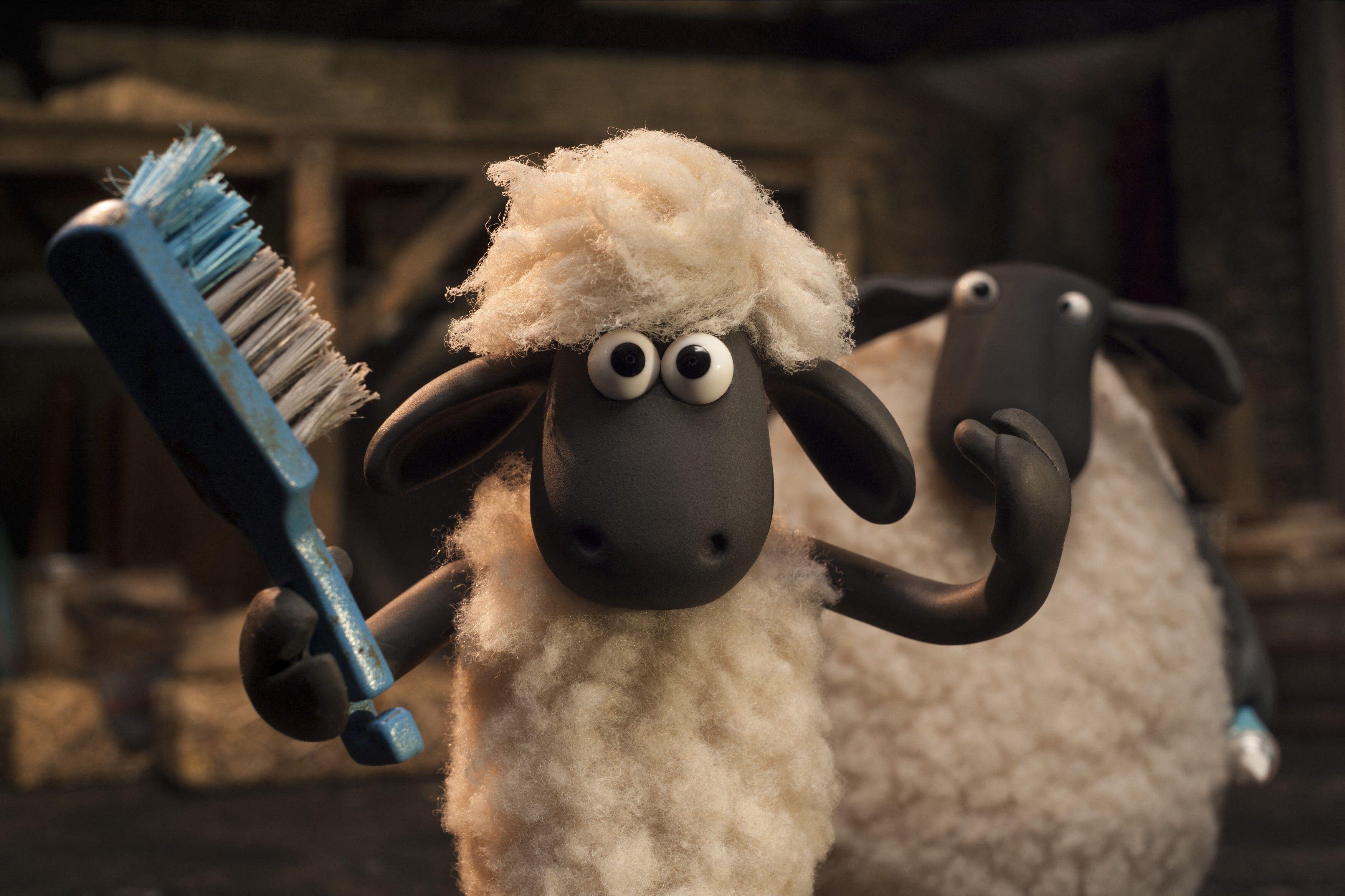 Shaun