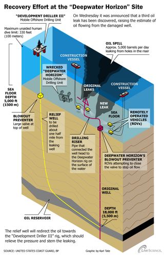 Anatomy of the Gulf Oil Spill