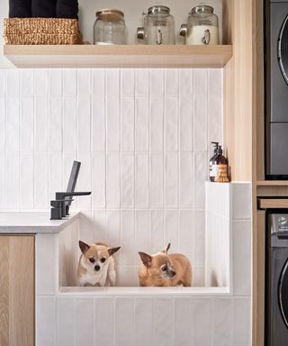 dog sink with white tiles behind and wooden free floating shelf matching cabinet side panels