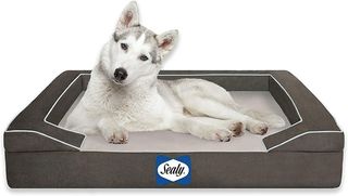 Dog on dog cooling pad