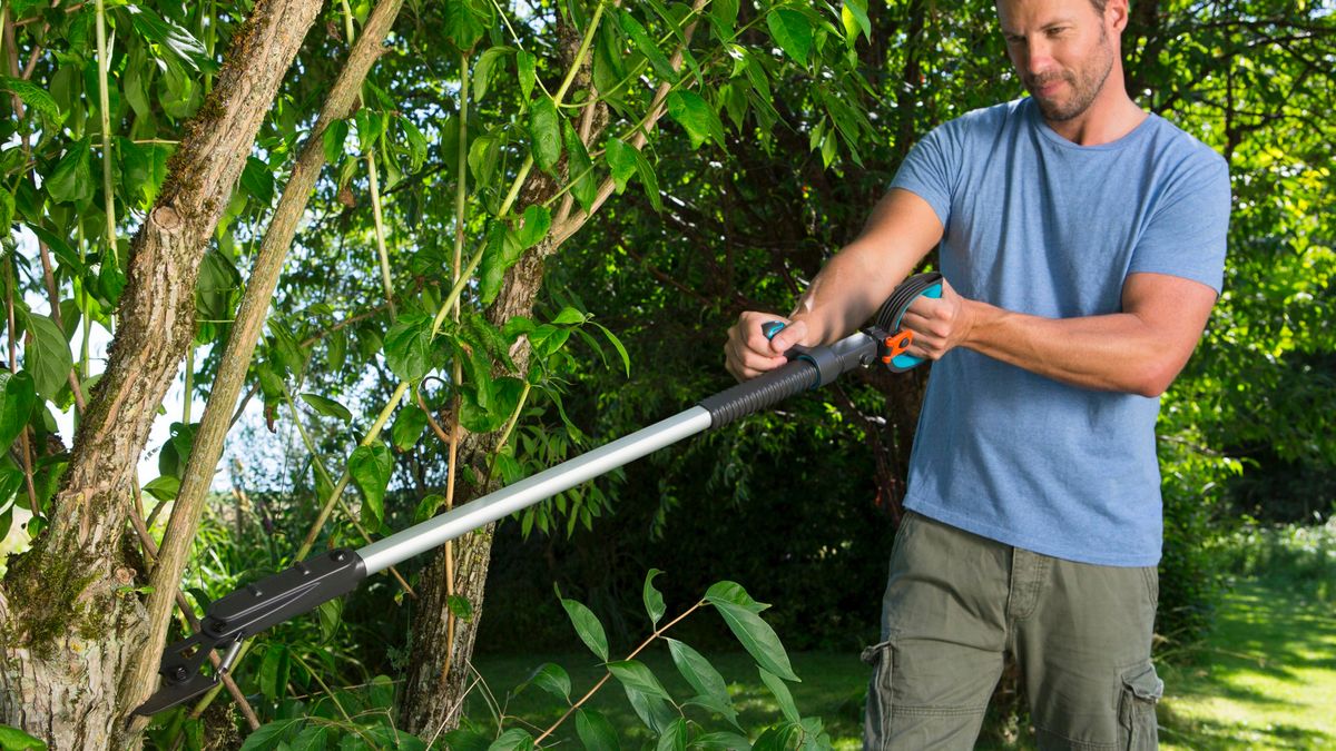 Green Blade Telescopic Garden Trowel Tool Extending Paving Weeder Allotment 