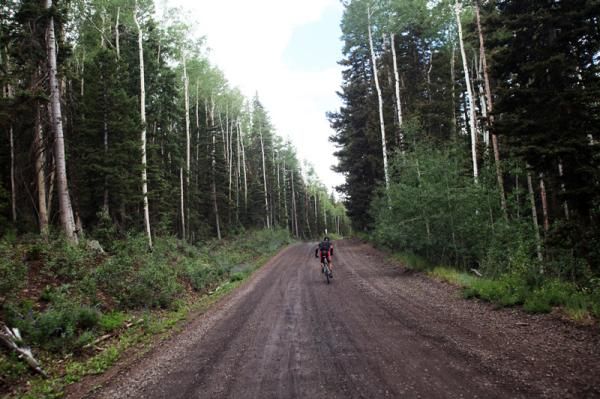 A rider climbs through the seemingly endless aspen groves atop the Tushar Mountains.