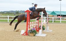 RoR-Elite-Showjumping-Champion-15-Bluegrass-Hopper-credit-SBM-Photographic_.jpg