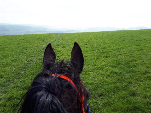 Hardys-in-the-mist-e1525173580671.jpg