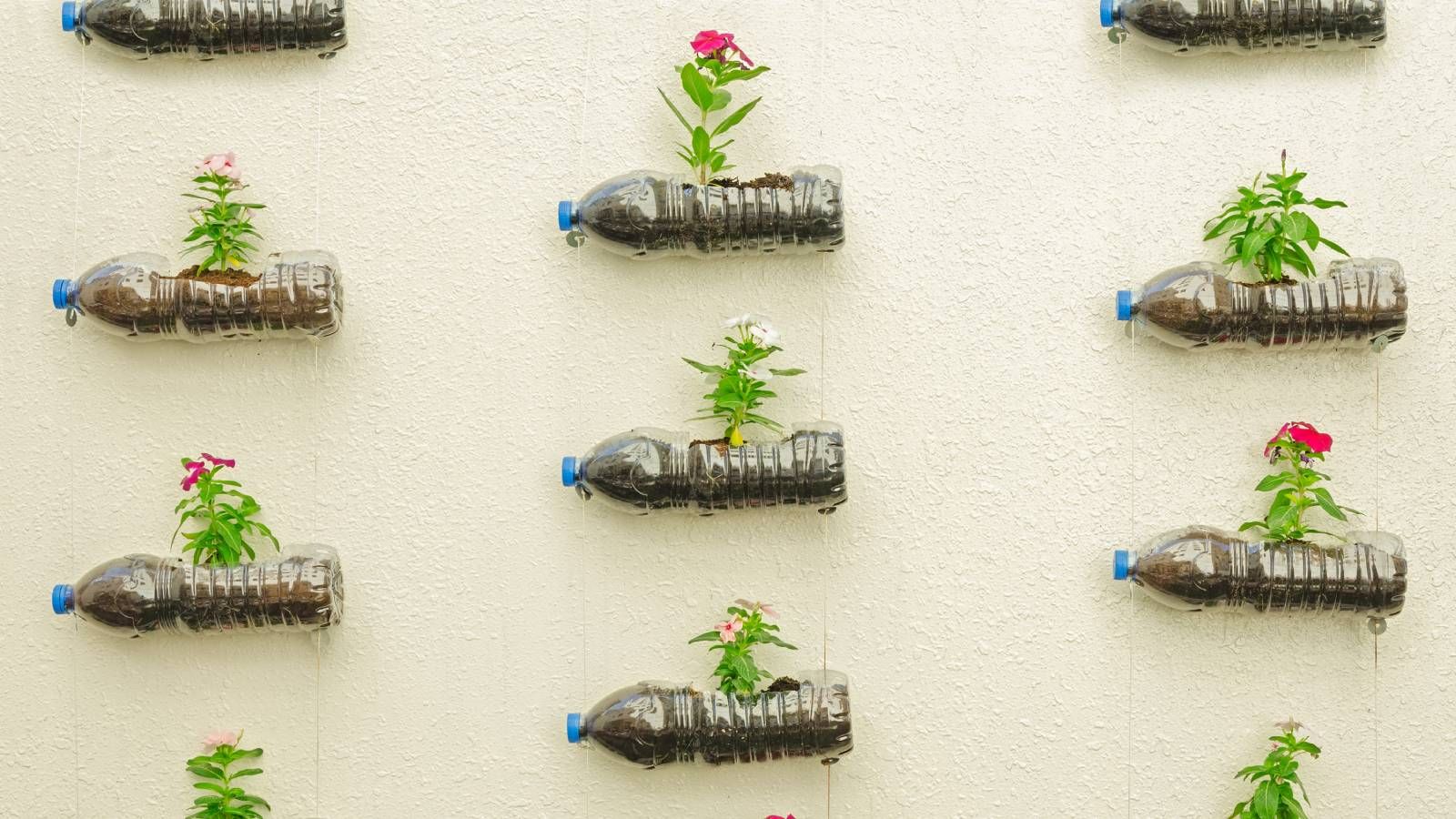 How To Reuse Plastic Products In Your Garden: 9 Clever Ideas | Gardening  Know How