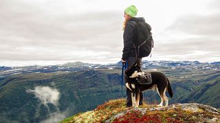 Dog and owner hiking in the mountains