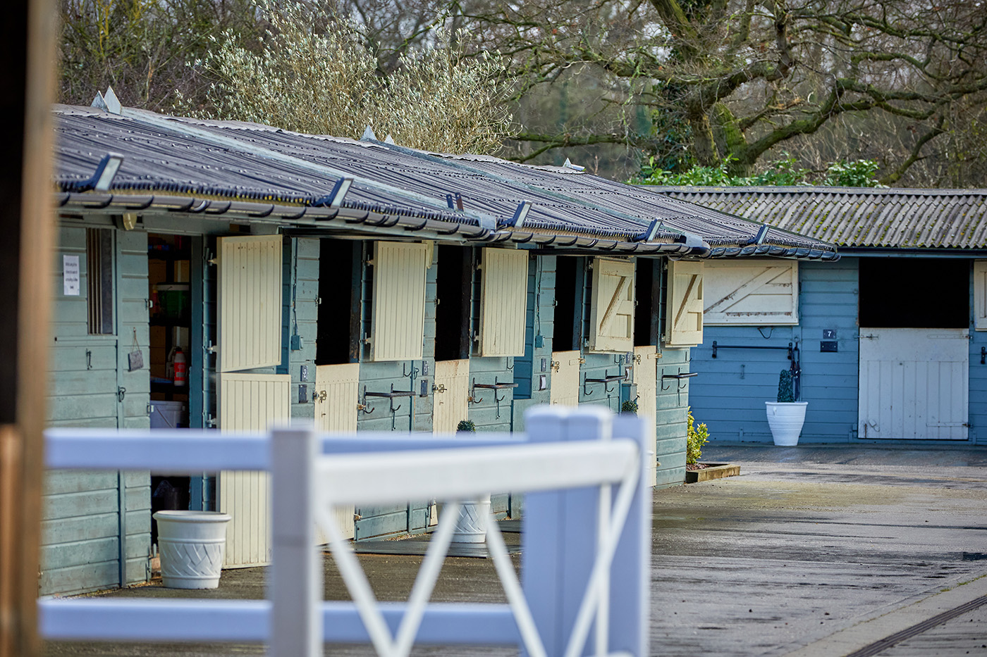 Interview Shoot, Leesha Leeman at Kellythorpe Stud