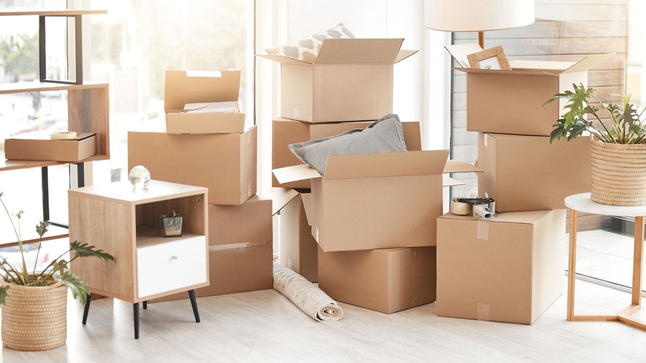 Moving boxes stacked up with plants and rugs