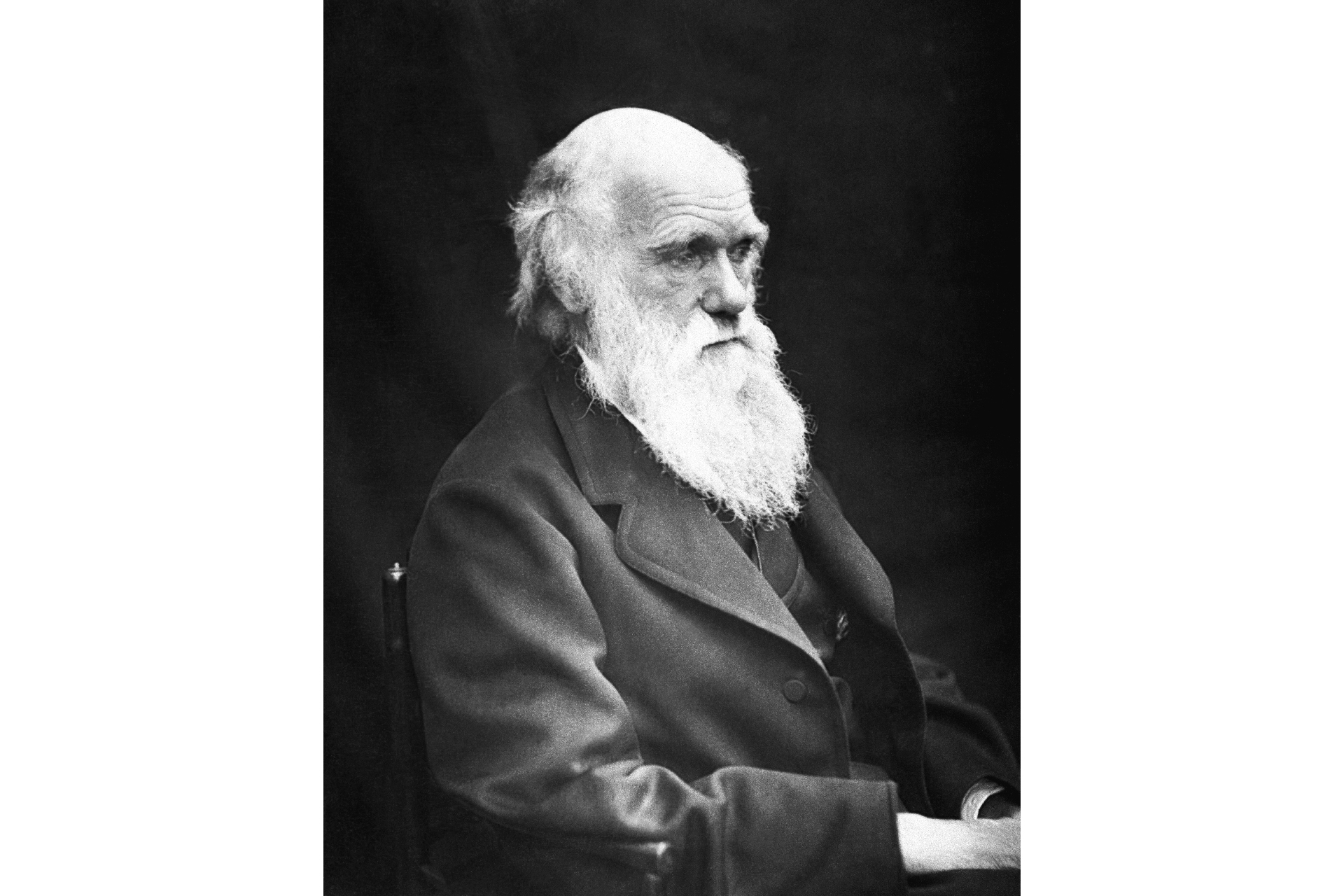 Een zwart-witfoto van Charles Darwin