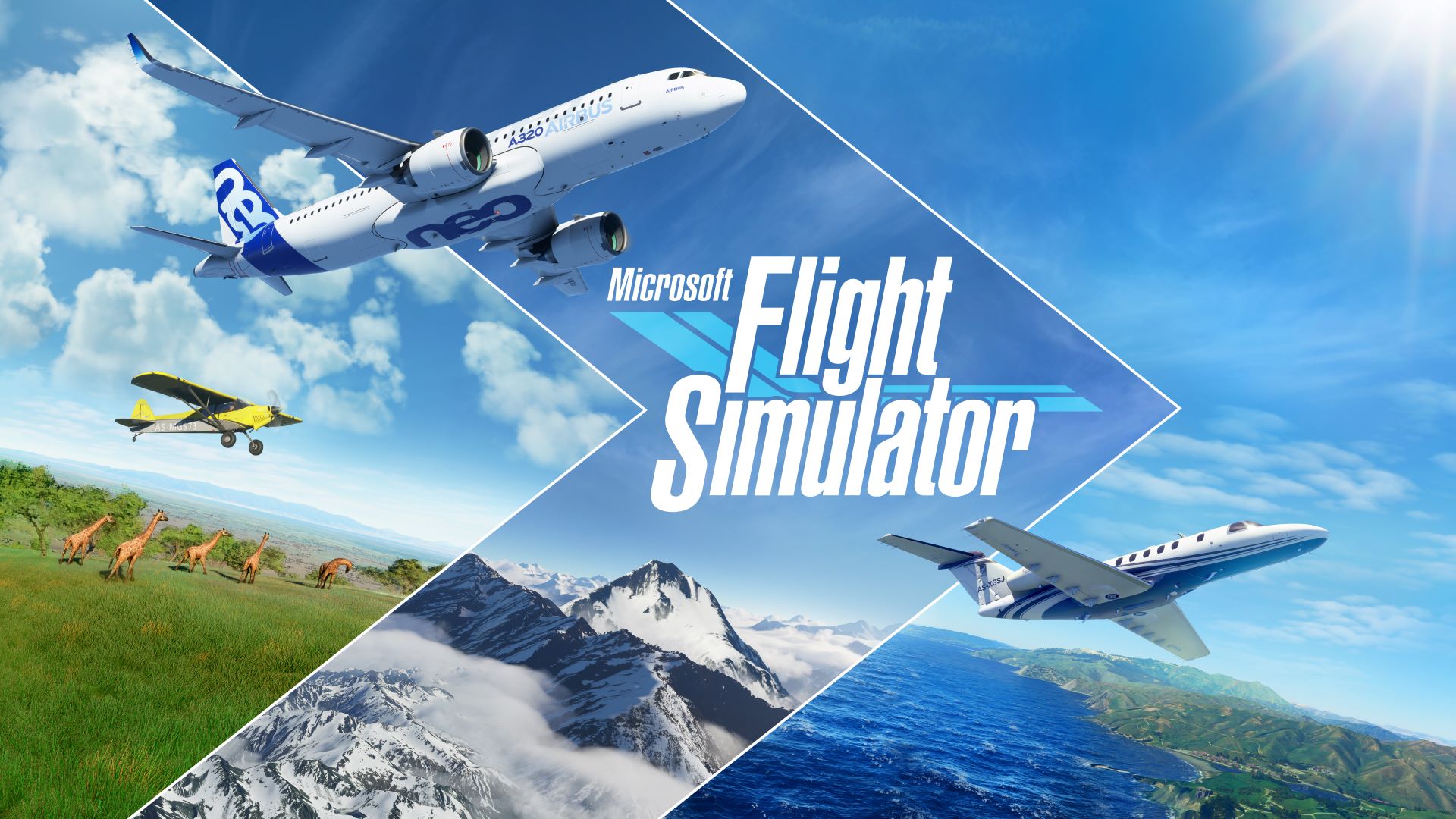 flight simulator for nintendo switch