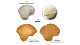 We see four images: A comparison of the fossil (upper left), a 2-Euro coin (upper right), a modern human bone (lower left) and a Neanderthal bone (lower right).