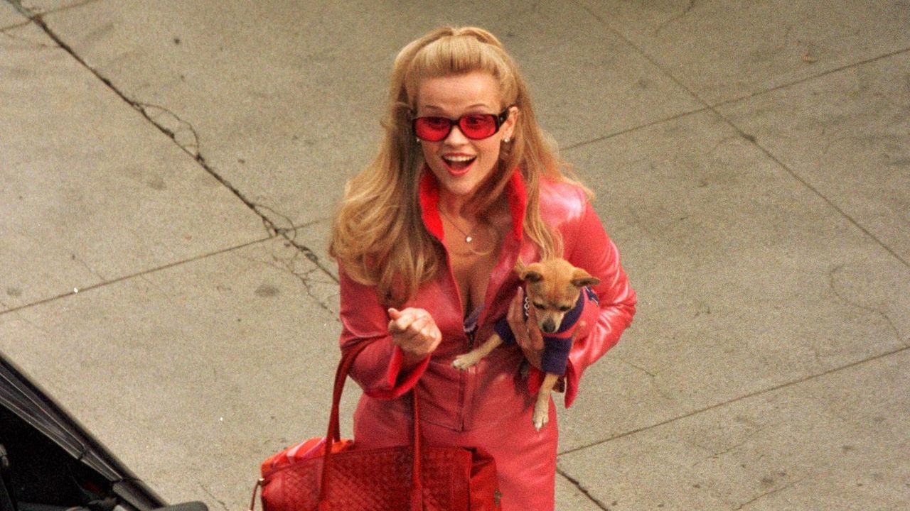 Legally blonde on netflix