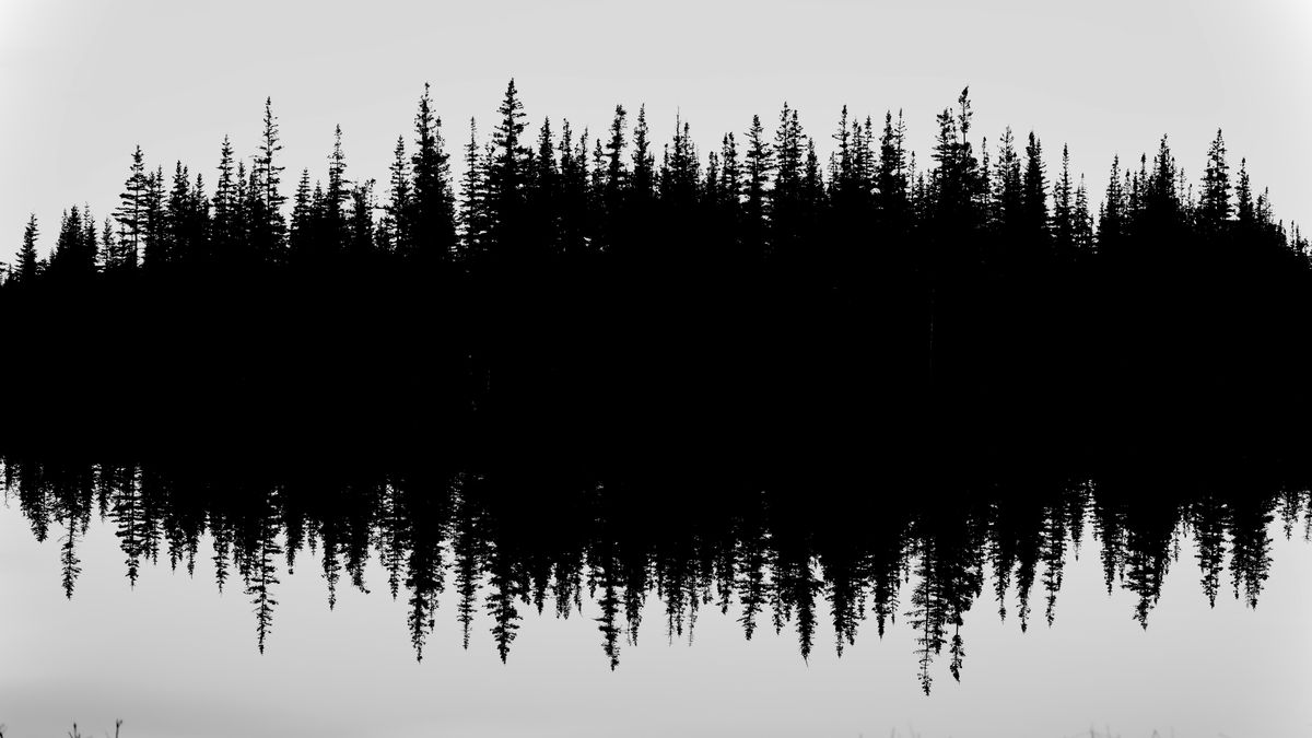 GuruShots - Powerful Black &amp; White Jan 26