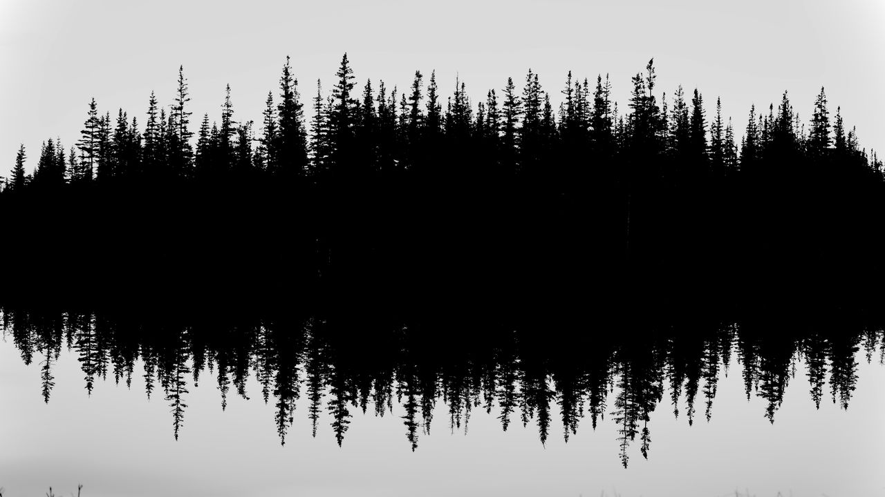 GuruShots - Powerful Black &amp; White Jan 26