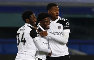 Fulham celebrate a goal against Everton