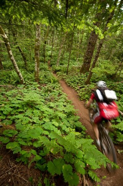 The course is not the most technical but still provides a challenge to riders.