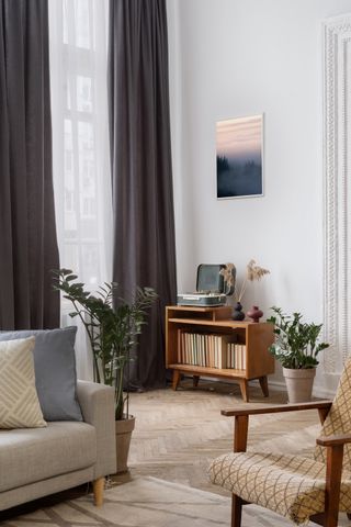 A pair of potted zz plants in a living room