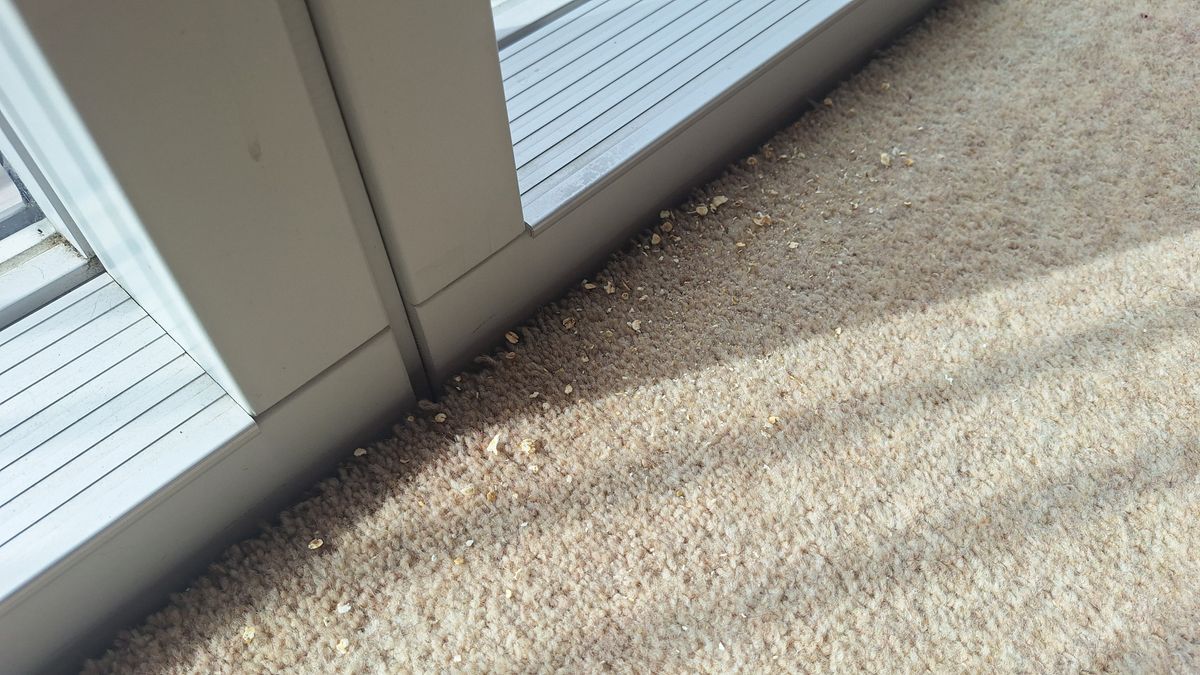 Oat remnants at the side of a room