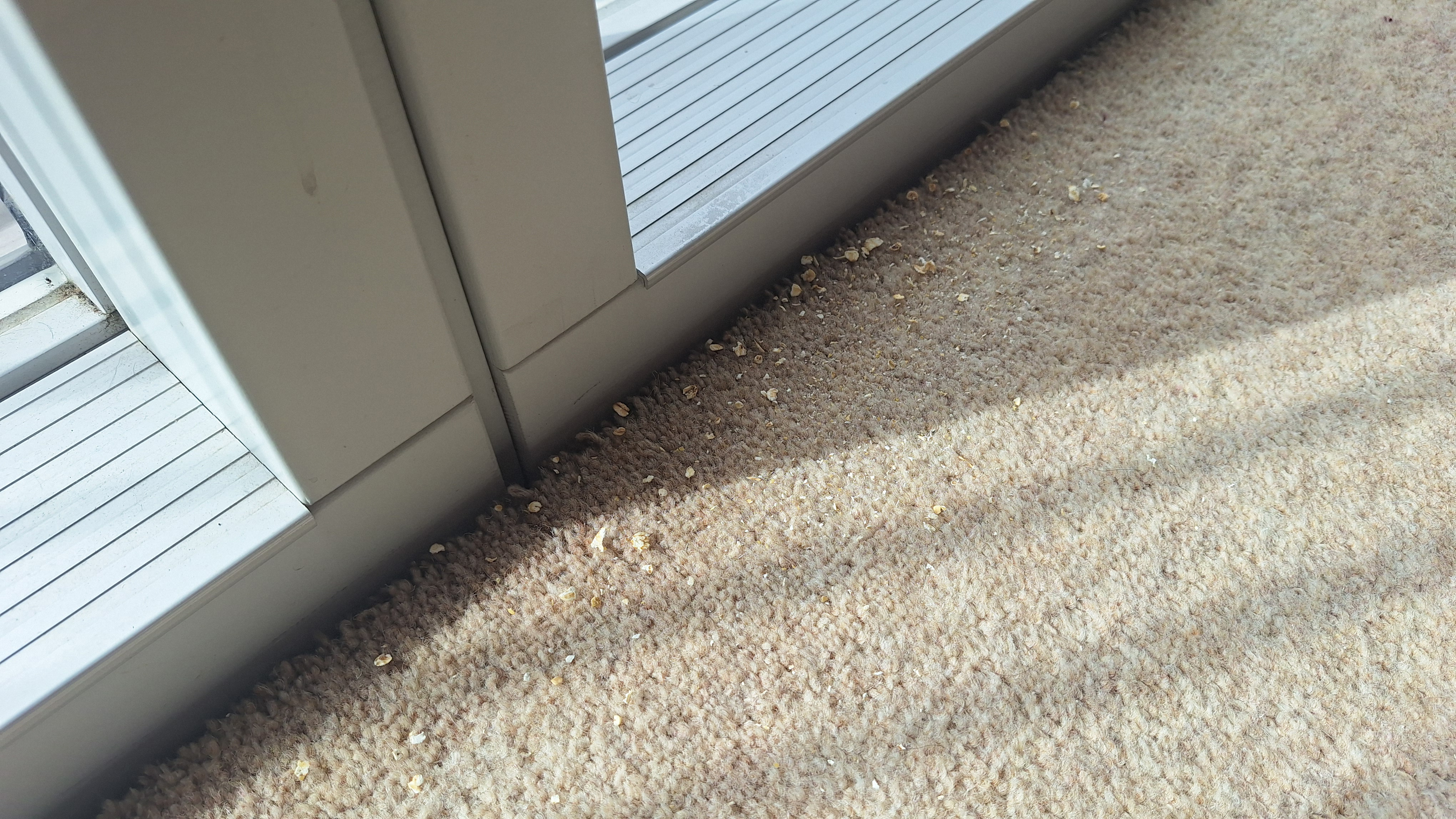 Oat remnants at the side of a room