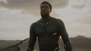 T'Challa (Chadwick Boseman) arriving Wakanda in Black Panther
