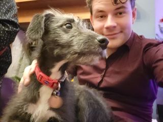 Samsung Galaxy S21 FE camera sample