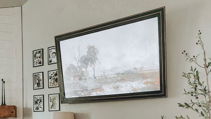 DIY frame tv on the wall