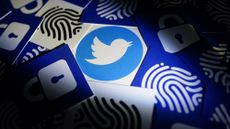 The Twitter logo on a card surrounded by other cards with images such as fingerprints and locks