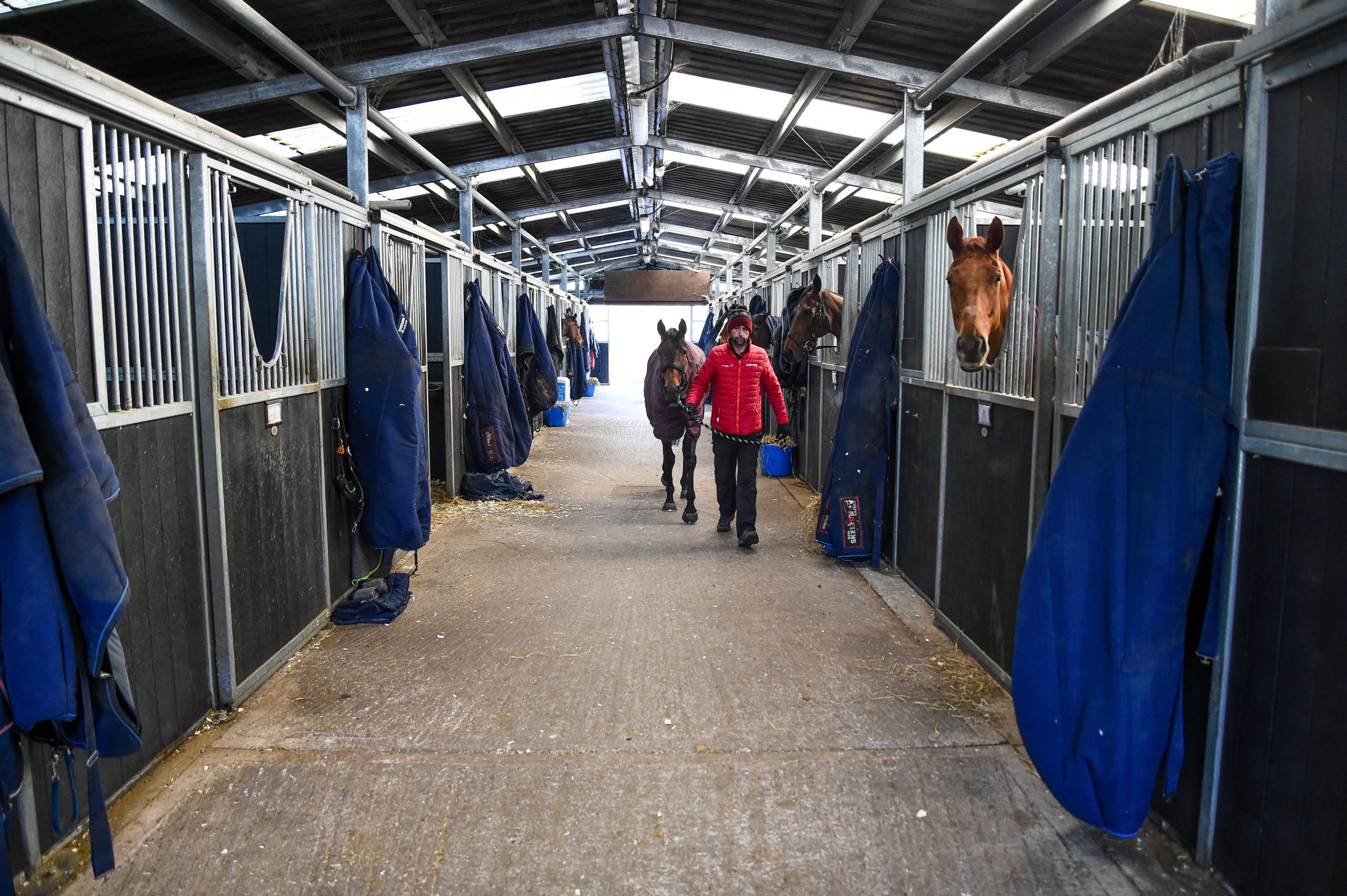 Cheltenham Festival Preview: behind the scenes with racehorse trainer Dan Skelton