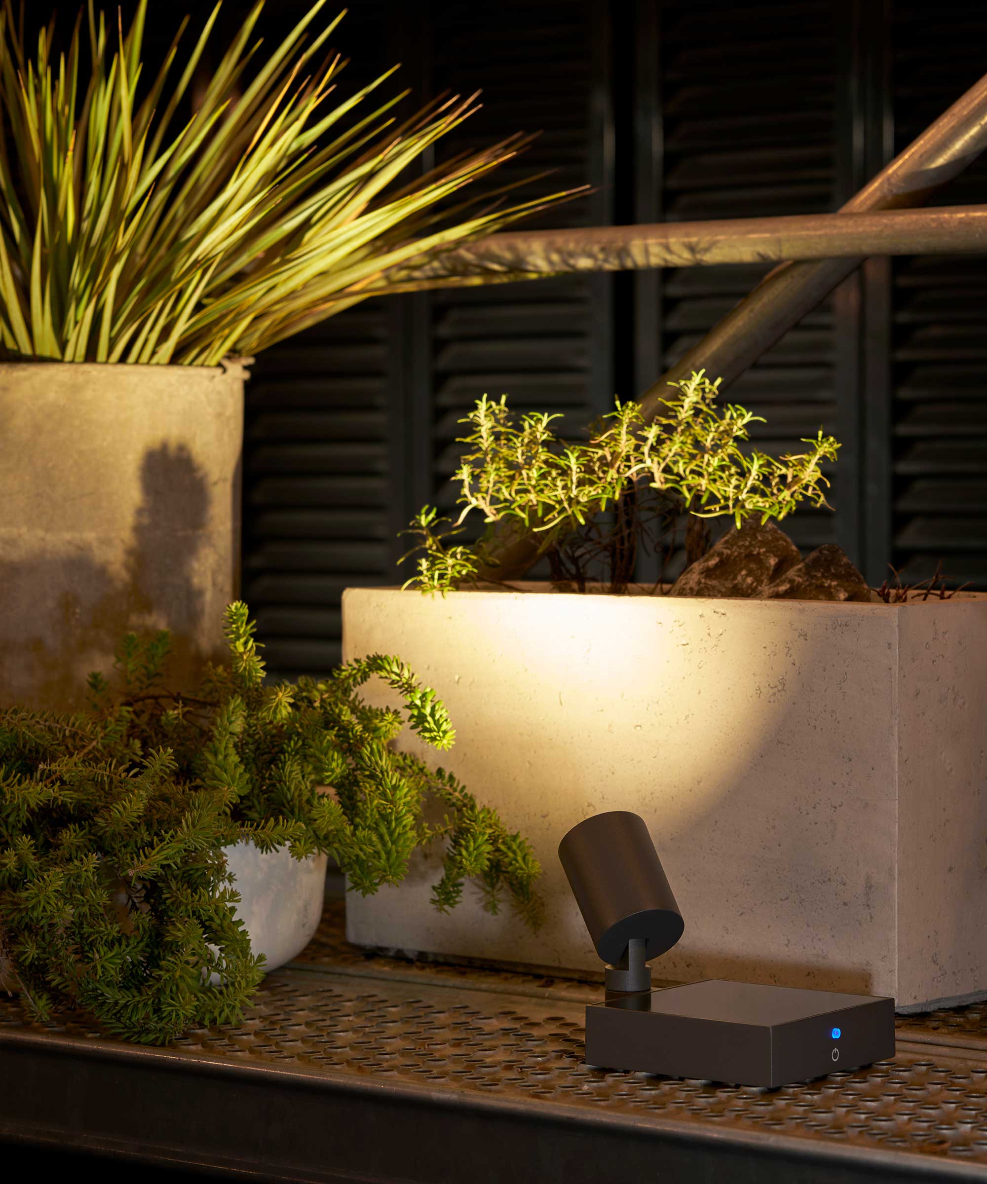 solar spotlight illuminating garden planters at night