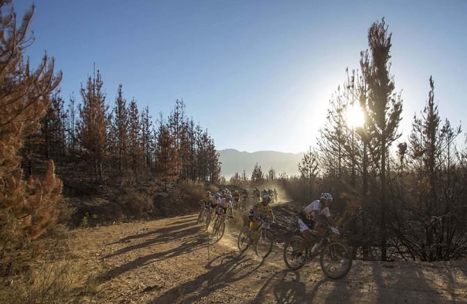 The favorites during stage 4