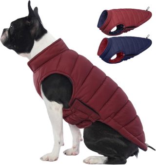 Lelepet Dog Puffer Jacket Dog Coat Reversible Dog Jacket Warm Dog Winter Coat Dog Padded Vest Windproof Dog Winter Vest Lightweight Small Dog Jacket With Hook & Loop Dog Coats for Small Dogs,shih Tzu