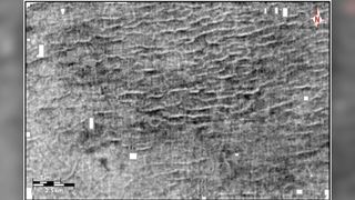A black-and-white seismic image of the megaripples, created by study co-researcher Kaare Egedahl for his master's thesis. The seismic image covers an area of about 11 by 7 miles (18 by 11 kilometers).